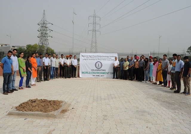  Plantation drive on the occasion of World Environment Day.