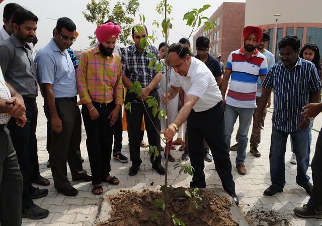  Plantation drive on the occasion of World Environment Day.