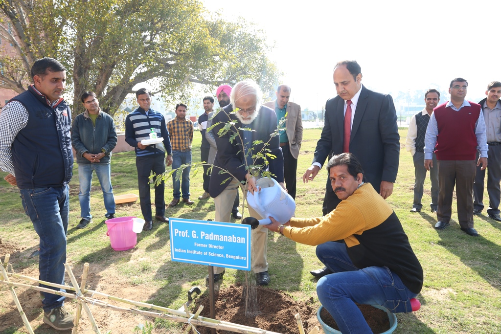 NABI celebrated 8th Foundation Day